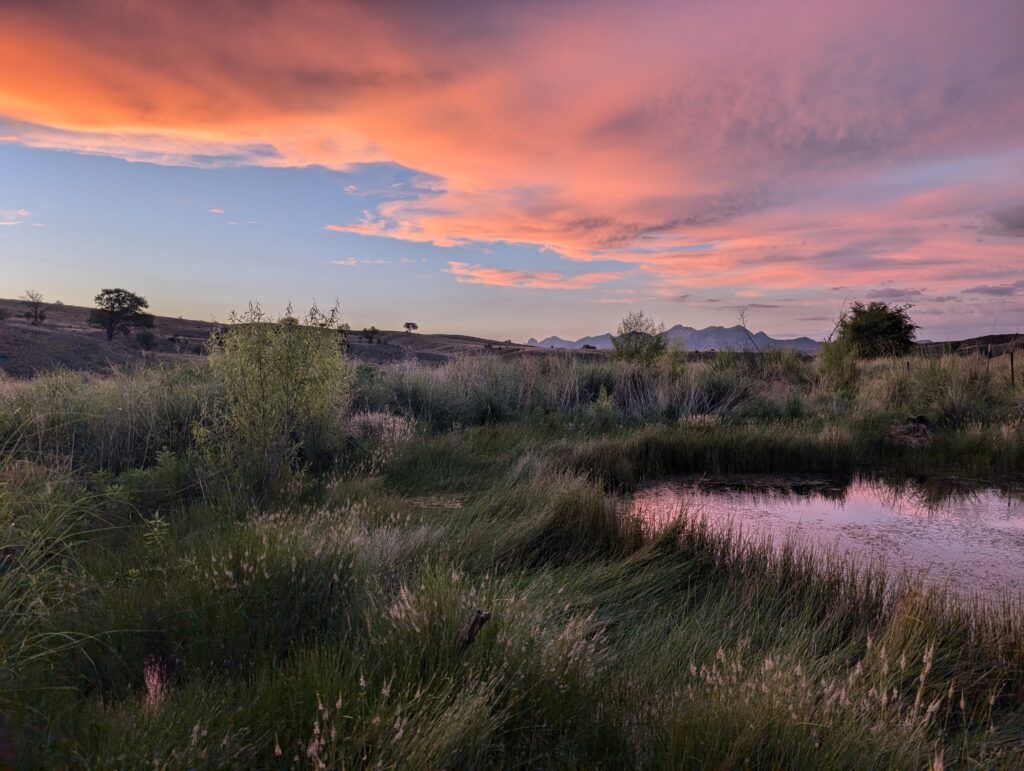 A pink and orange sunset over a pond surrounded by sedges, with mountains in the distance.