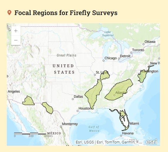 A map titled "Focal Regions for Firefly Surveys," highlighting seven areas: southwest Arizona, west Texas, areas along the Mississippi River, the southern Appalachians, the coast of Florida, the central Ridge of Florida, and the Mid-Atlantic coast from New Jersey to Virginia.