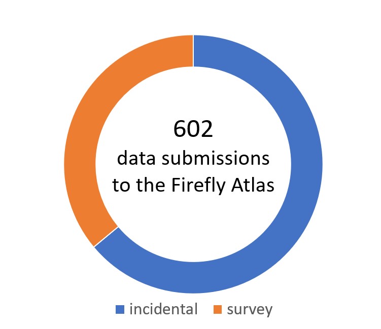 Donut chart with the text "602 data submissions to the Firefly Atlas." About two thirds of these are incidental observations, while a third a surveys.