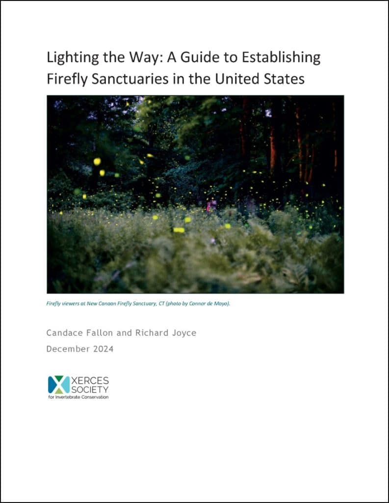 Image shows the front cover of a guide titled "Lighting the Way: A Guide to Establishing Firefly Sanctuaries in the United States."