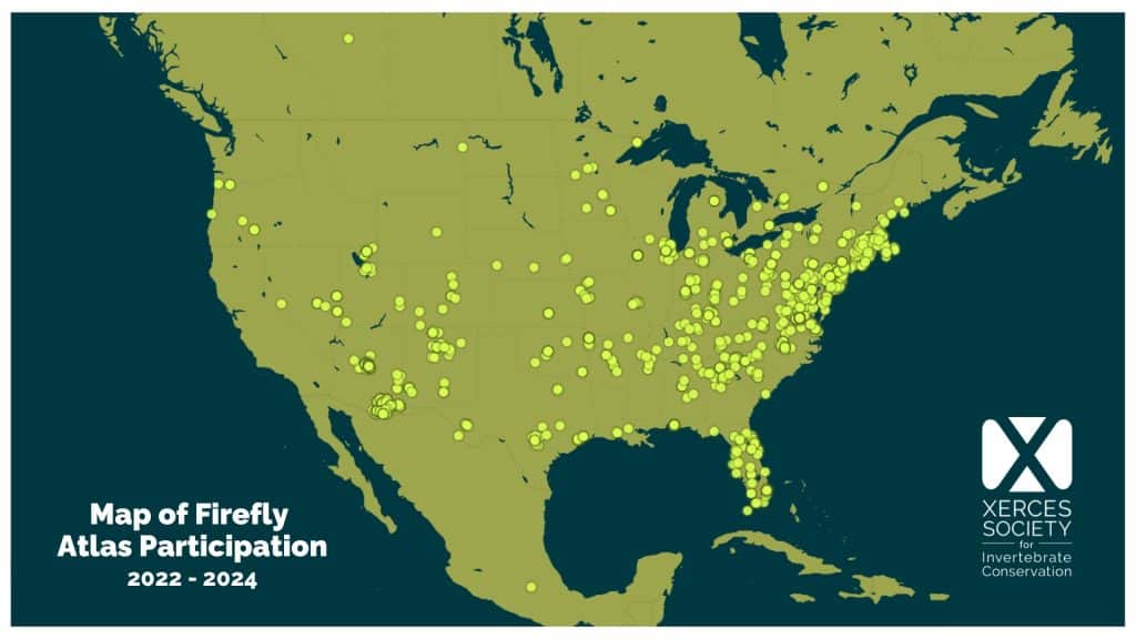 Map of the United States depicting locations of Firefly Atlas observations, from the years 2022-2024.