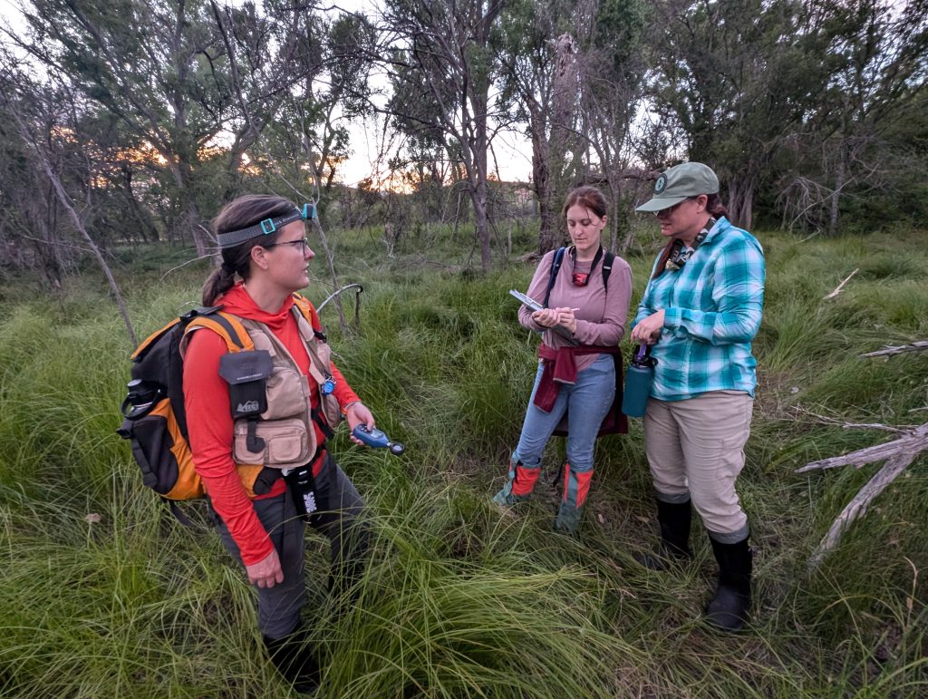 Three people with field gear prepare for an evening of firefly surveys.