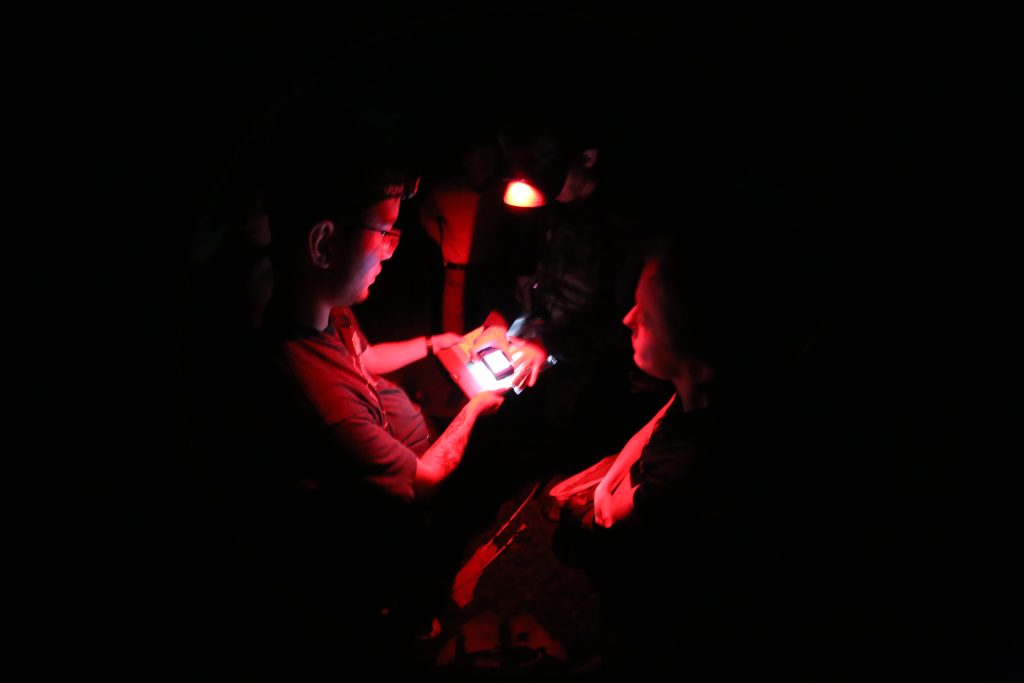 Firefly Atlas participants work together to photograph a firefly during a survey in South Carolina. 