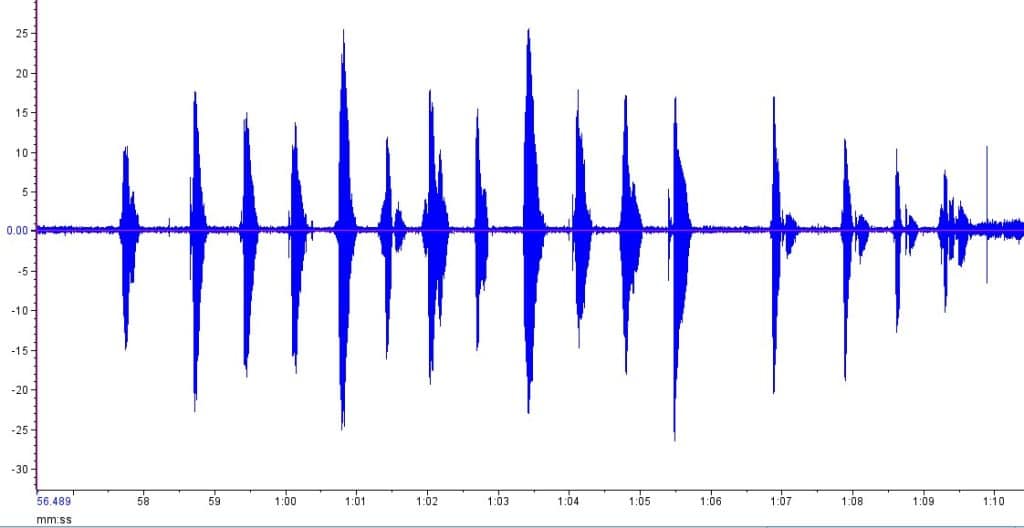 A chart with evenly spaced blue peaks, derived from a voice recording of a firefly observer narrating the flashes.