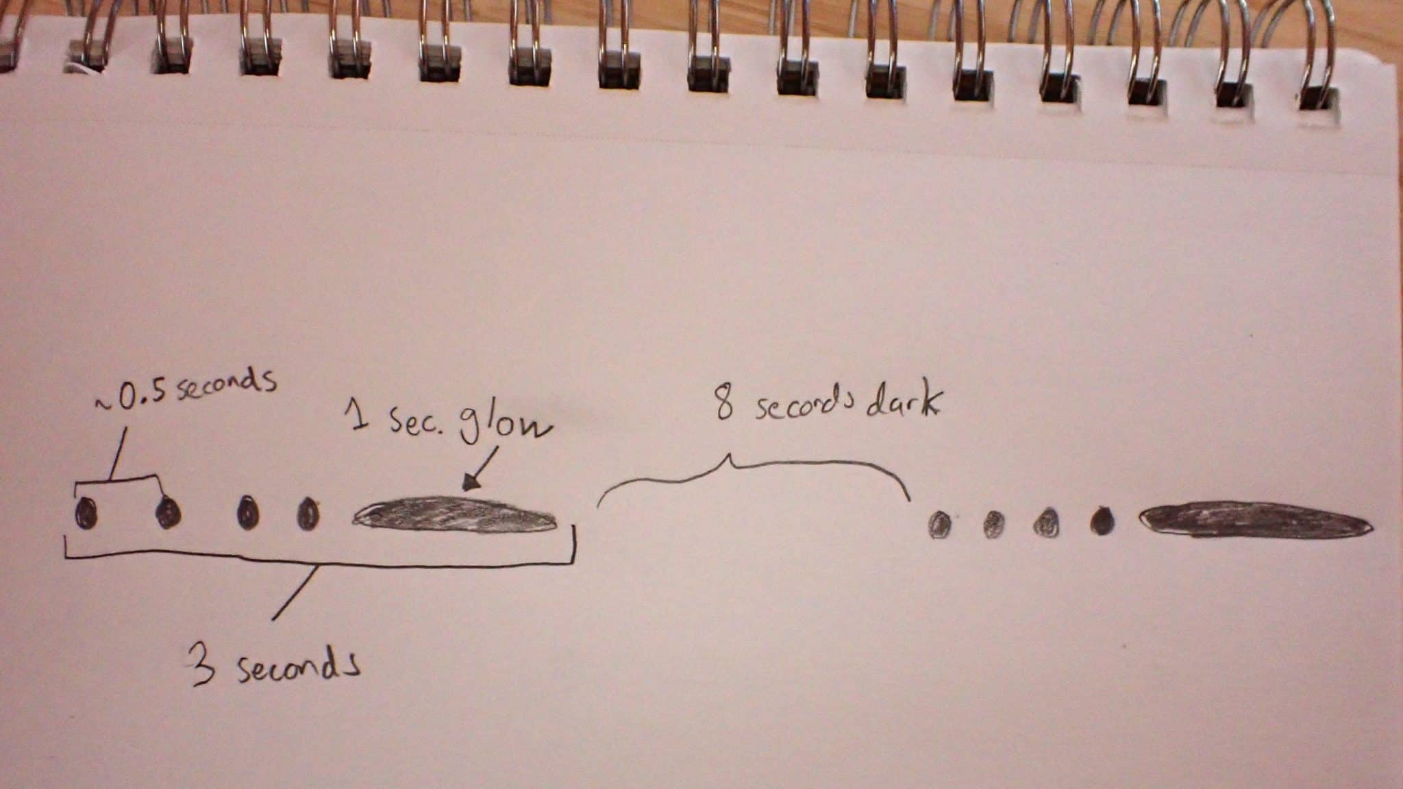 A diagram of dots and dashes representing a firefly flash pattern. Four dots are followed by a long dash, and this pattern is repeated after a pause.  Arrows and brackets illustrate various time measurements between parts of the flash pattern.